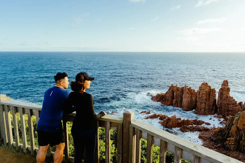 Ab Melbourne: Phillip Island Pinguin-Parade & Koala-Reservat